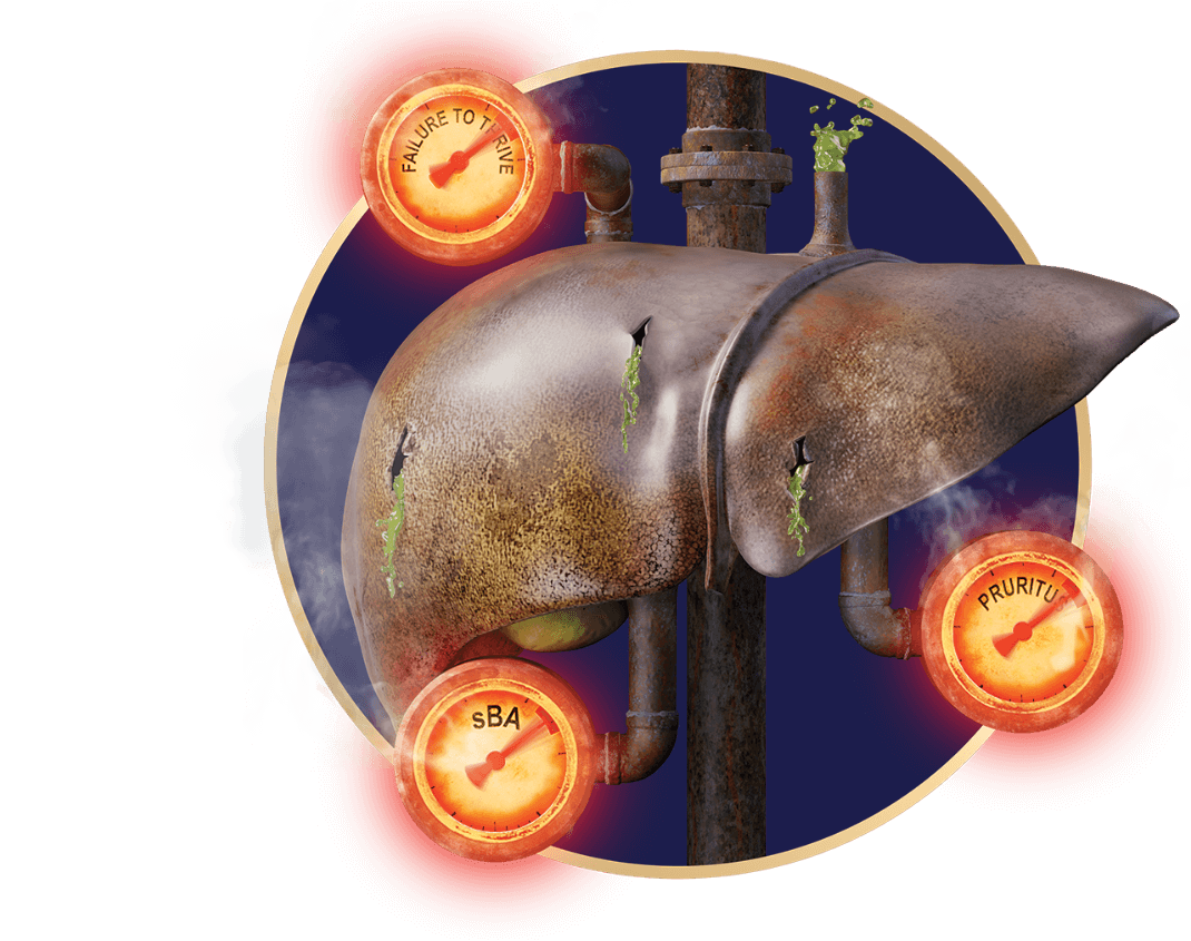 A circle window showing a liver with spilling bile, punctured by a rusty pole, and surrounded by glowing red gauges with steam billowing